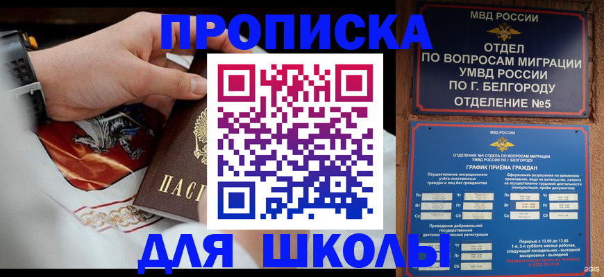 пропишу в квартире в Бородино